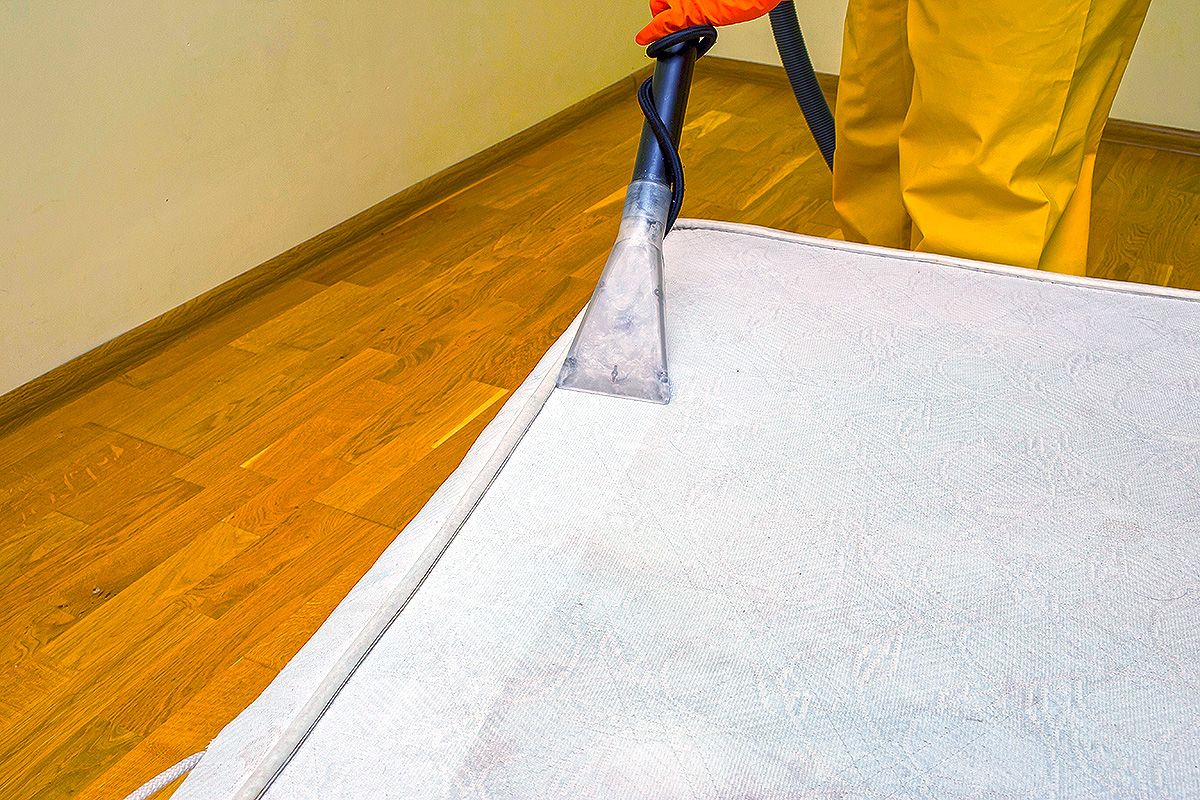 Professional Sofa & Upholstery Steam Cleaning in London